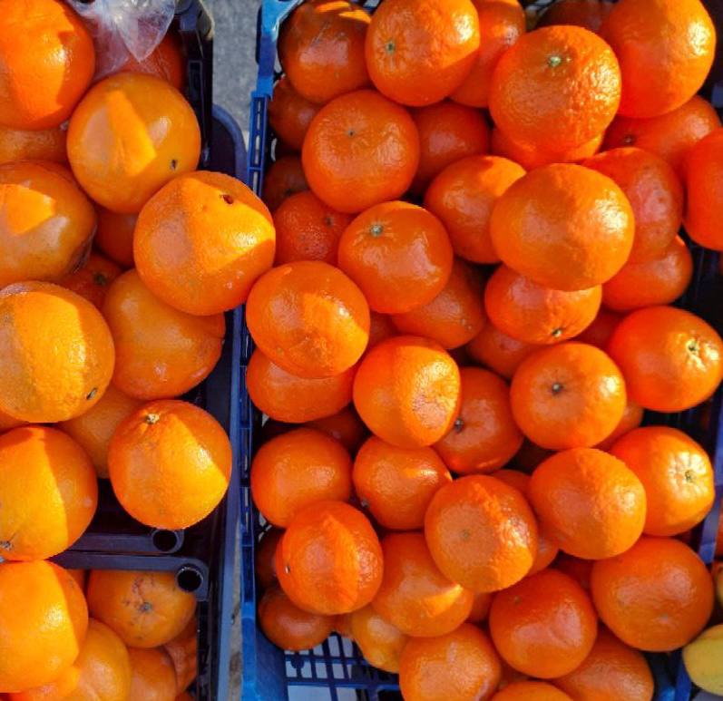 Универсальная ярмарка в городе Мариуполь Универсальная ярмарка в городе Мариуполь