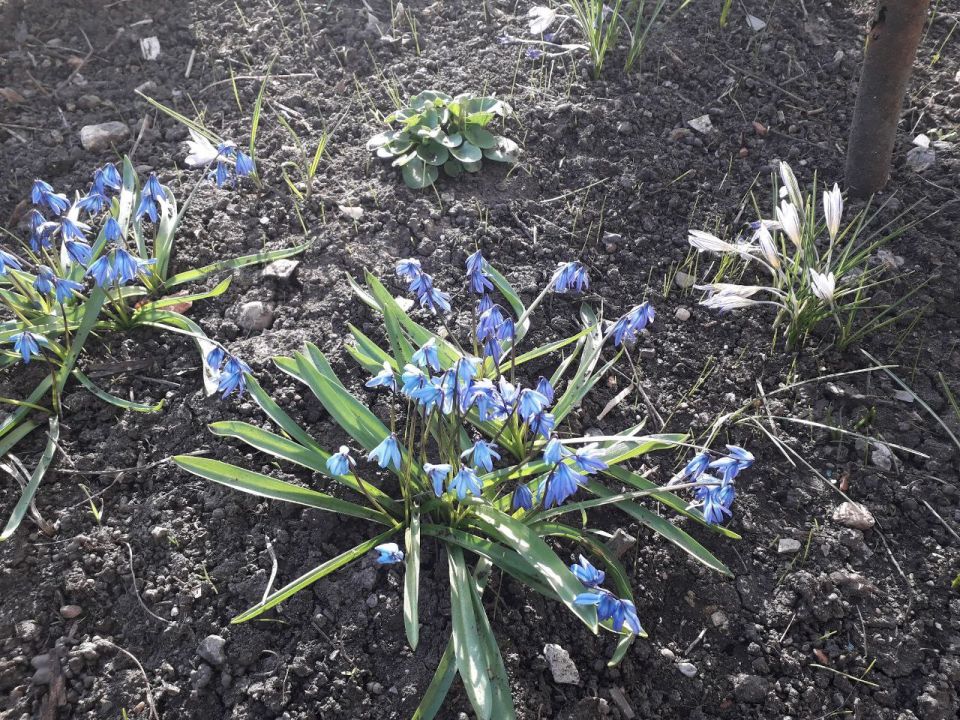 - � ������ ���?. - � ������ �����!