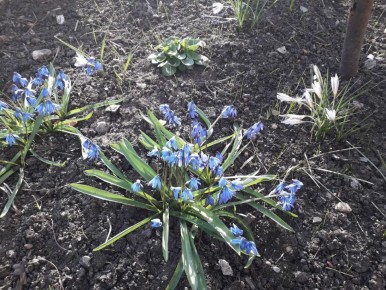 - � ������ ���?. - � ������ �����!