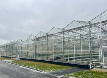 ������������ ��������� �������� ������������ ��� � �������