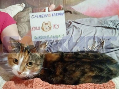 ������� ���� �����, � ������ �� �������� ��� ������ ���� ����� �����!