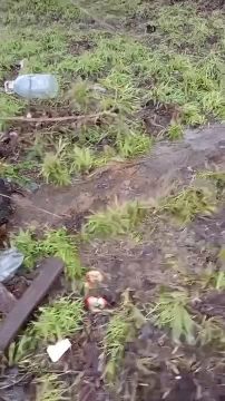 ��� ��������� ��-�� ��������� ��������� �������� � ��������