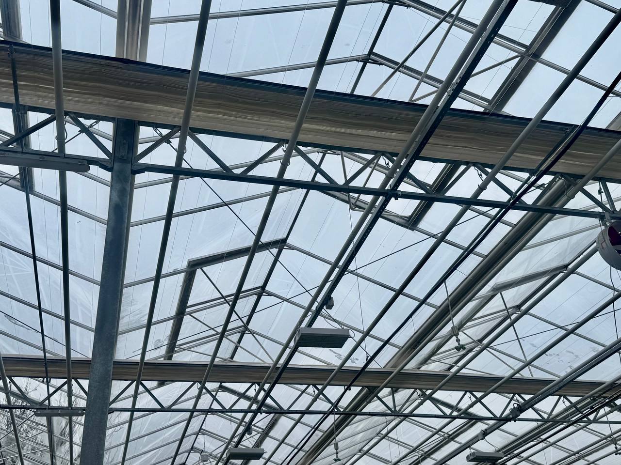 Подмосковные строители обновили ботанический сад в Донецке Подмосковные строители обновили ботанический сад в Донецке