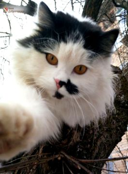 ����������� ��������� ���!