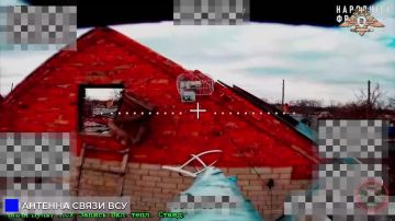 «Племяш» 238 бригады вырубает Wi-Fi мосты и антенну управления дронами ВСУ