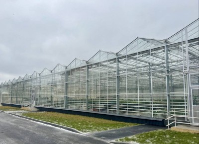 ������������ ��������� �������� ������������ ��� � �������