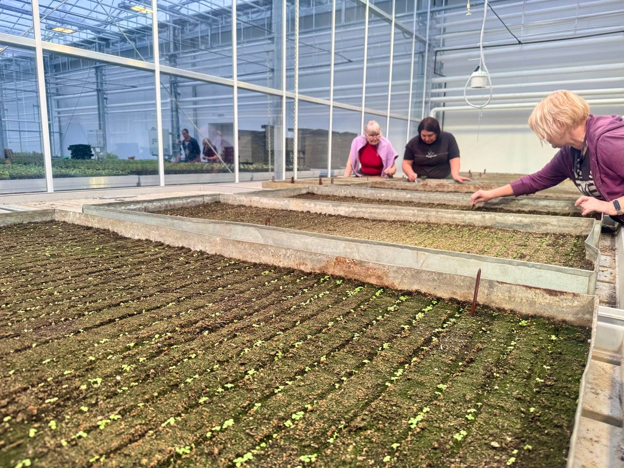 Подмосковные строители обновили ботанический сад в Донецке Подмосковные строители обновили ботанический сад в Донецке