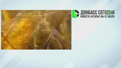 ������ ���������� � ������ ���������: ����������� � ������� � ��������, �������� ���������� ������ �������� ���������, ��� � ������������ � ����������� �������