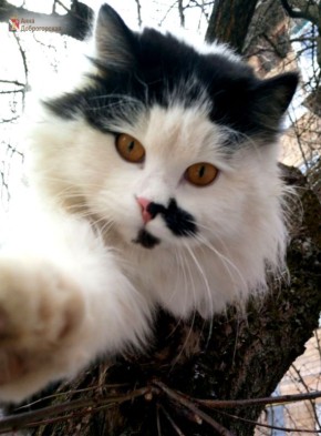 ����������� ��������� ���!