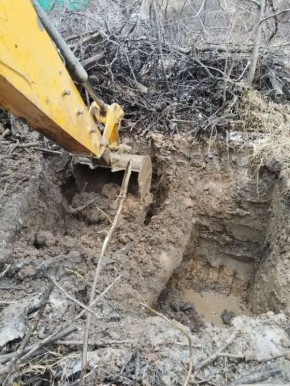 ��� ������ �� ����������� ��������� ������������� � �������� ��������� ������� �� ����������