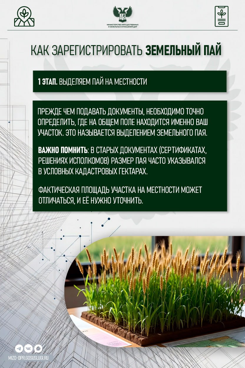 Что нужно знать об оформлении земельного пая Что нужно знать об оформлении земельного пая