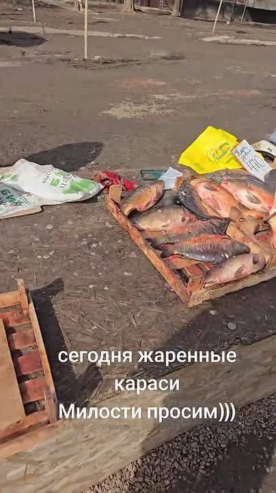 Бабушка притворилась блогершей, чтобы снять торговлю рыбой в условиях антисанитарии в Макеевке