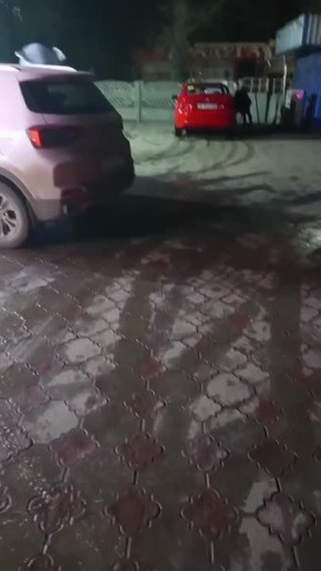 Огромная мышь в компании поддатых друзей замечена на Текстильщике в Донецке