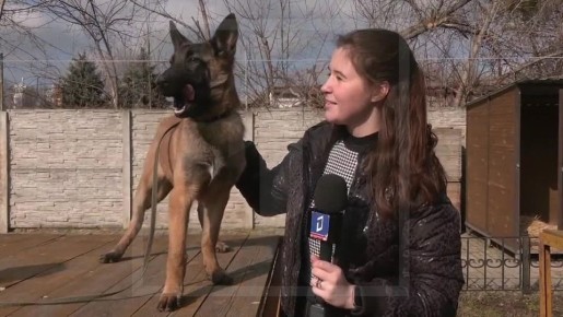 ��� �� ������ ���� ��������, ����� ���� ���� � ������?