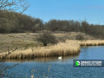 Весна уже в Донецке