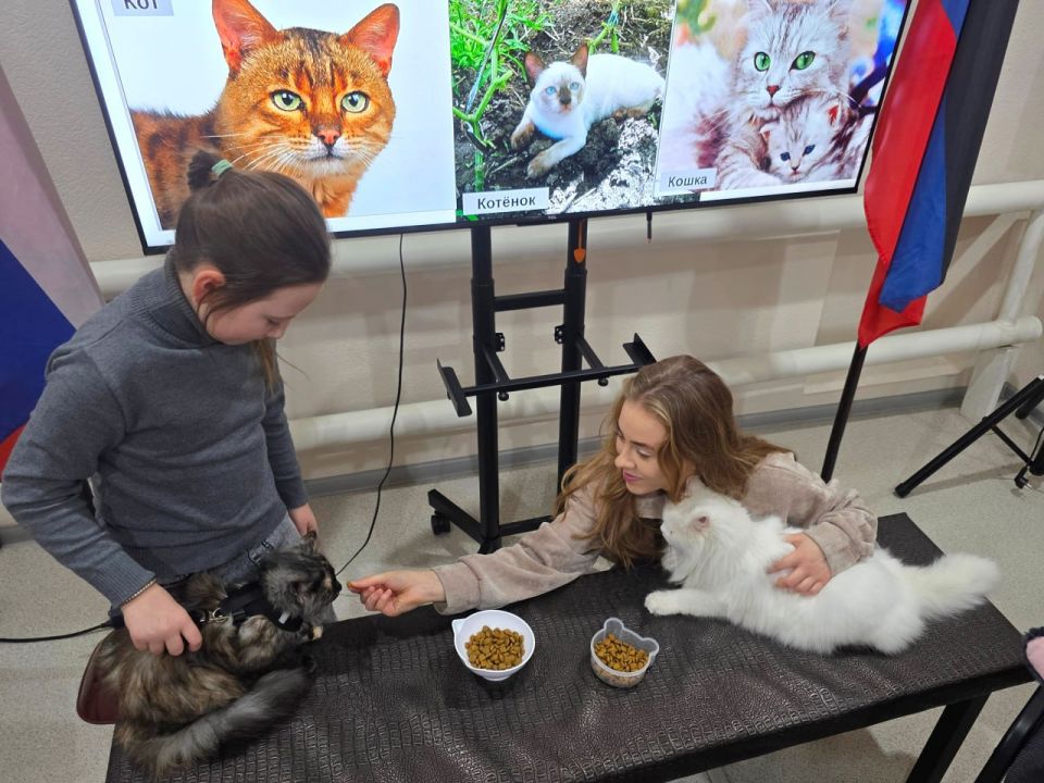 «Усатый-полосатый» - познавательно-творческий час «Усатый-полосатый» - познавательно-творческий час
