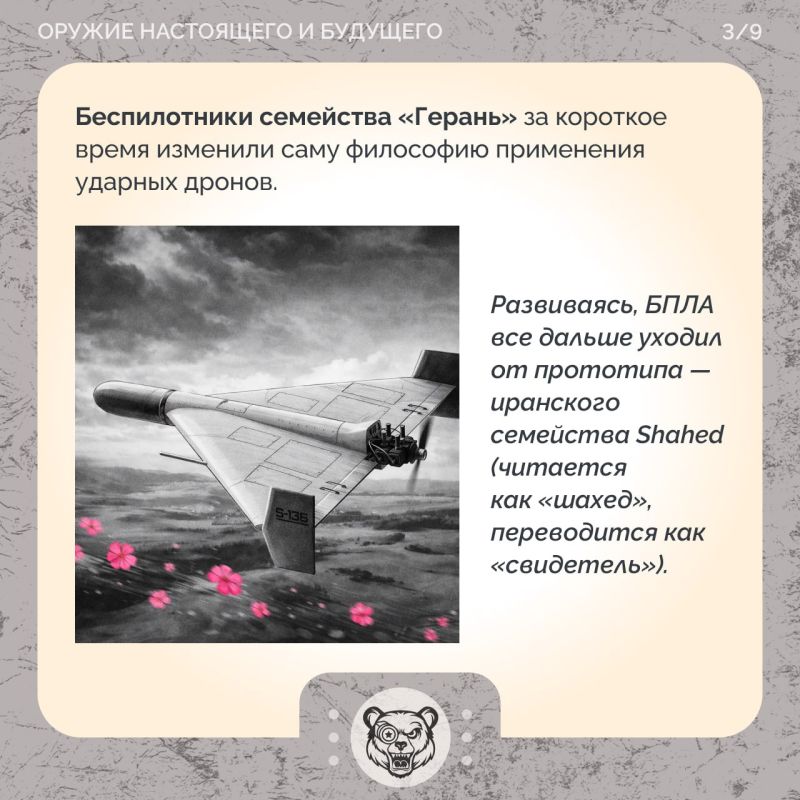 БПЛА «Герань»: последний свидетель БПЛА «Герань»: последний свидетель