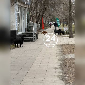 �� ����������� ���������� ������ � ���������� � ��������� ���� ��������� ����� ����� ���� ����� ���������� �� ��������� � ��������