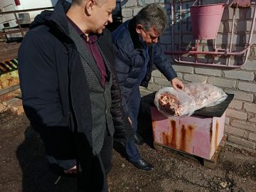 ���� ���������: � �������� ������� ����������� ������ ������ ������ ������� ��������� ����