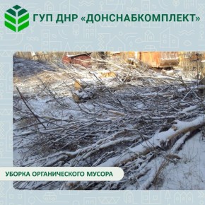 ����������� ������� �� ���������� �����������: �������� �������������� �����������