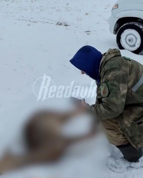 Красноярец утверждает, что стал свидетелем браконьерства