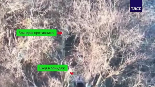 ������������� ����� ����������� ����� ���������� ������� � ����� ���������� � ������ �������� ��� �� ��������� �����������, �������� � �� ��