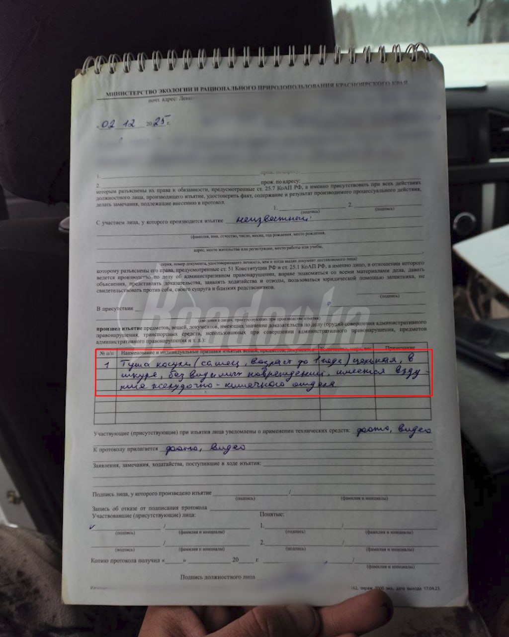 Красноярец утверждает, что стал свидетелем браконьерства Красноярец утверждает, что стал свидетелем браконьерства