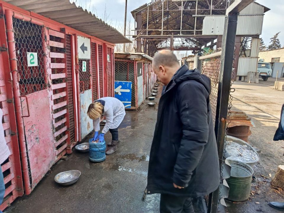 Иван Приходько: В Горловке активно реализуется проект Единой России «Защита животного мира» Иван Приходько: В Горловке активно реализуется проект Единой России «Защита животного мира»
