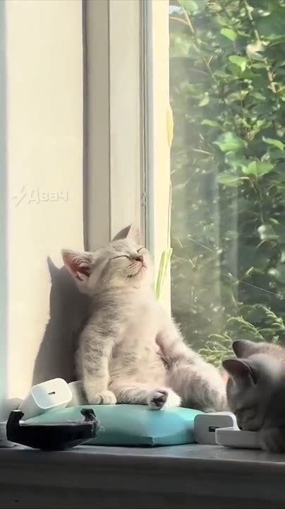 ���������� � ������ � �������� ����������