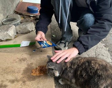 �������� ������� ����� �������