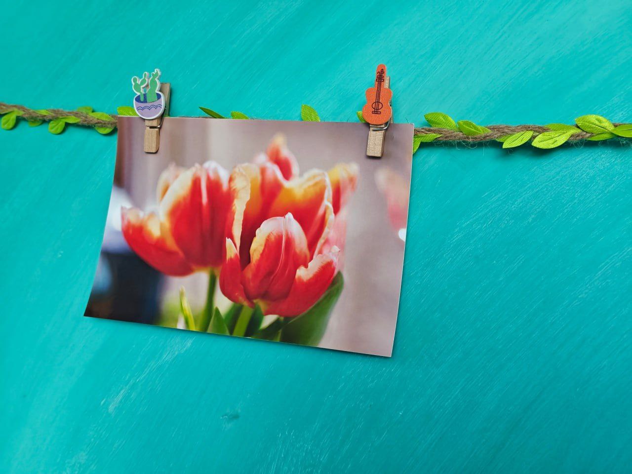 В МБУ "Клуб «Прогресс» г.о. Торез" прошла фотовыставка "В объятиях весны", организованная участниками фотокружка "Гелиос" В МБУ "Клуб «Прогресс» г.о. Торез" прошла фотовыставка "В объятиях весны", организованная участниками фотокружка "Гелиос"