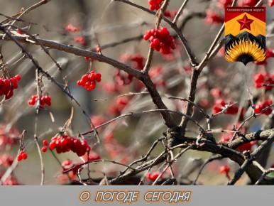 ������������� ������� � ������ � ���������� ������