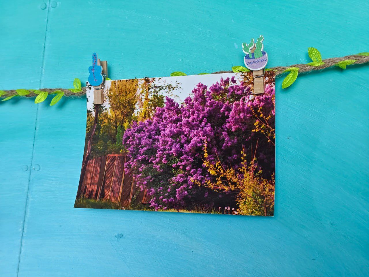 В МБУ "Клуб «Прогресс» г.о. Торез" прошла фотовыставка "В объятиях весны", организованная участниками фотокружка "Гелиос" В МБУ "Клуб «Прогресс» г.о. Торез" прошла фотовыставка "В объятиях весны", организованная участниками фотокружка "Гелиос"