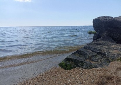 ���� �� ����������� ����������� �� �������� ���������-������������� ���������� ����� ������ �������� � ���������� � ������������ ������, ������������� ����� ��������� ����