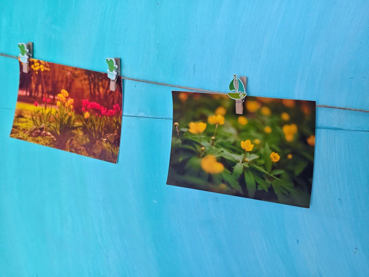 В МБУ "Клуб «Прогресс» г.о. Торез" прошла фотовыставка "В объятиях весны", организованная участниками фотокружка "Гелиос" В МБУ "Клуб «Прогресс» г.о. Торез" прошла фотовыставка "В объятиях весны", организованная участниками фотокружка "Гелиос"