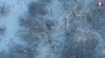 ���������� �� �� ������� ������ ��������� � ������� ����� ������ ���