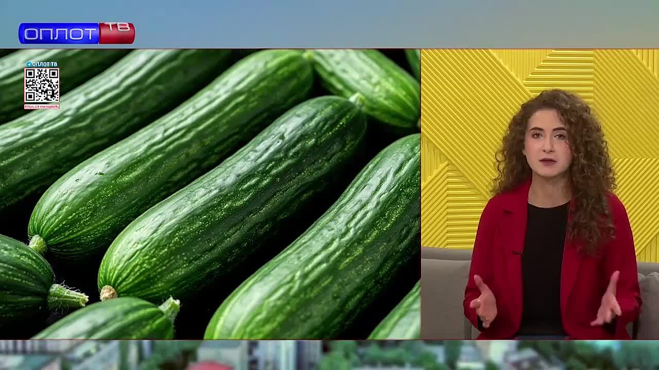 В Зугрэсе продолжается модернизация тепличного комплекса