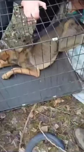 � ������ ��������� ������ ������� ������