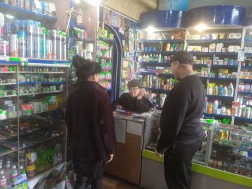 Депутат Дебальцевского городского совета от партии «Единая Россия» Наталья Вервейко провела встречу с жителями города, обсудив проблему бродячих собак