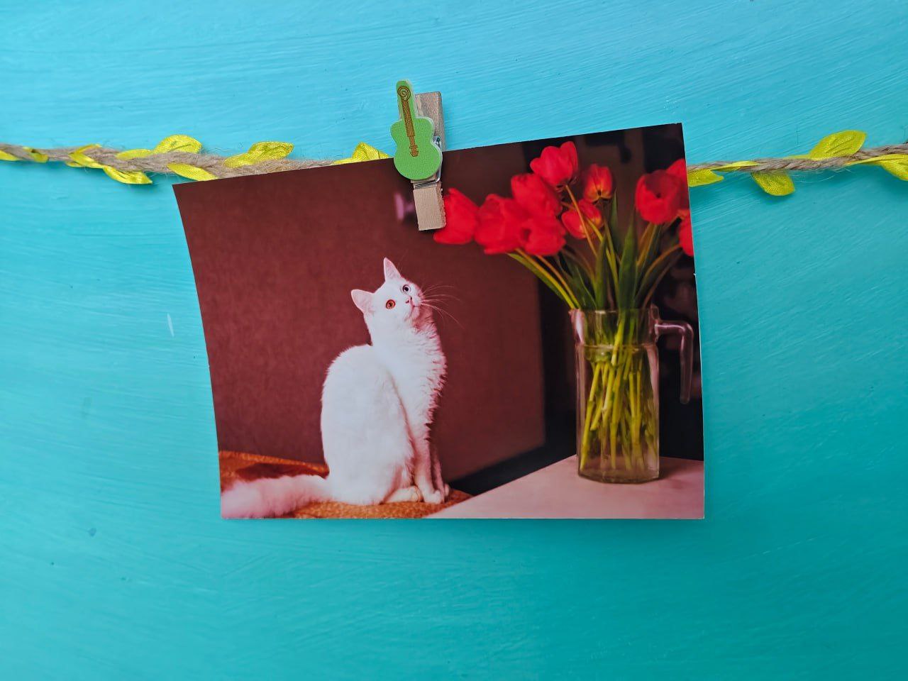 В МБУ "Клуб «Прогресс» г.о. Торез" прошла фотовыставка "В объятиях весны", организованная участниками фотокружка "Гелиос" В МБУ "Клуб «Прогресс» г.о. Торез" прошла фотовыставка "В объятиях весны", организованная участниками фотокружка "Гелиос"