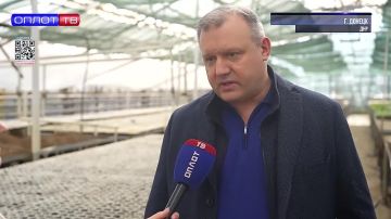 �� ������ ����� � �������?