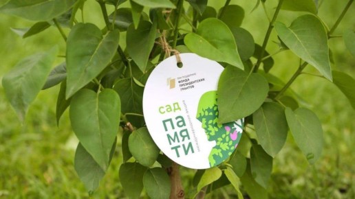 ���� ������ � ���: � 2026 ���� ������ ������������� � ������������� ����� �� ���������� � �������������� ������