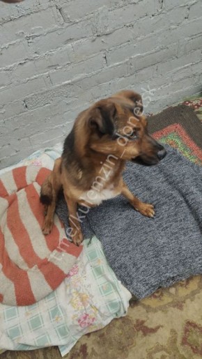 � ��������� ��� ������ ����������� ��������� � ������ ��������� ����������� ��������