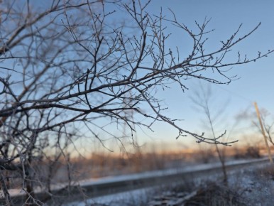 ������������� ��������. 05 ����� � ���������� ������� � ������������, ����� ��� ������������ �������; ����� � ���� ������� ��������� ������ ��������������� � ���� �����