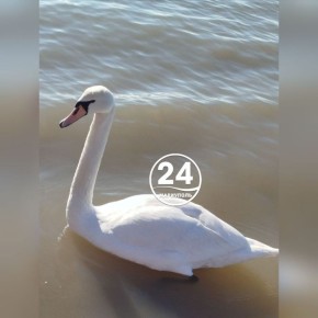 � ������ �����, ���������!