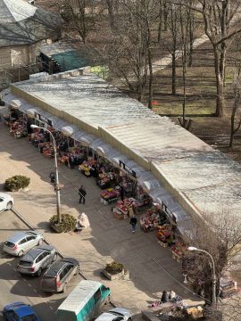 ������ �������. ���������� � 8 ����� - 50%