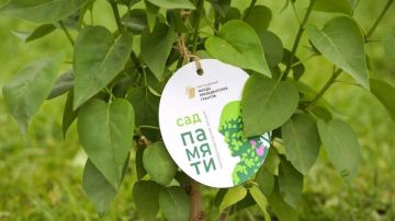 ���� ������ � ���: � 2026 ���� ������ ������������� � ������������� ����� �� ���������� � �������������� ������