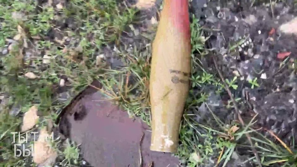 ����� ��������: ��������. �� ������ �������� ��������� ������ ����������: ���-��, ���������� � ��������� �����, ��� ������������, ��, � ��������, ���������