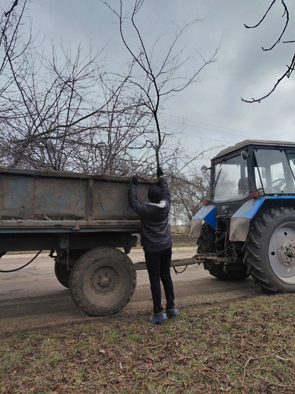 Итоги работы МУП "Восток-Комсервис" за период с 27.02.2026 по 05.03.2026. На территории Володарского муниципального округа были произведены следующие работы: Итоги работы МУП "Восток-Комсервис" за период с 27.02.2026 по 05.03.2026. На территории Володарского муниципального округа были произведены следующие работы: