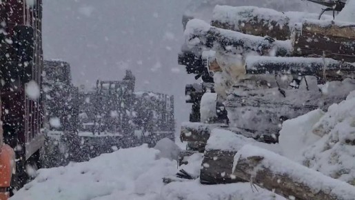 ������ �������: � ����, ����� ����������� ������ ������ �� ������ � ������ ��������� � ������ ������, ������� ����